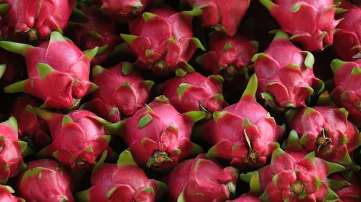 dragon-fruit